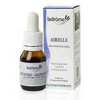 La Drôme Provençale Gemmothérapie Macérât Mère Airelle Jeunes Pousses Bio - Pour Réguler le Transit