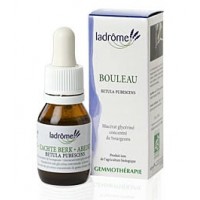 La Drôme Provençale Gemmothérapie Macérât Mère Bouleau Bourgeons Bio - Pour Drainer