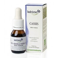 La Drôme Provençale Gemmothérapie Macérât Mère Cassis Bourgeons Bio - Contre les Allergies