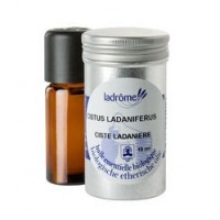 Huile Essentielle de Ciste