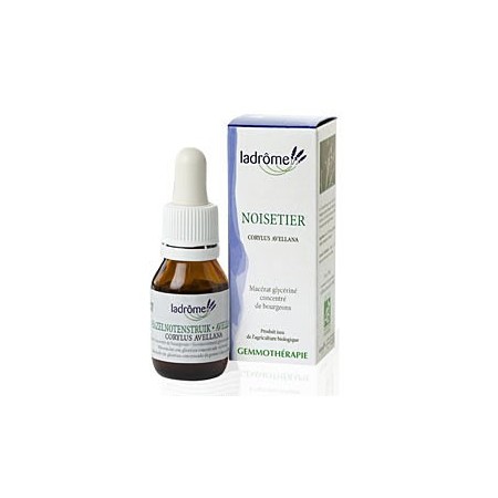 La Drôme Provençale Gemmothérapie Macérât Mère Noisetier Bourgeons Bio - Purifie les Voies Respiratoires