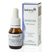 La Drôme Provençale Gemmothérapie Macérât Mère Noisetier Bourgeons Bio - Purifie les Voies Respiratoires