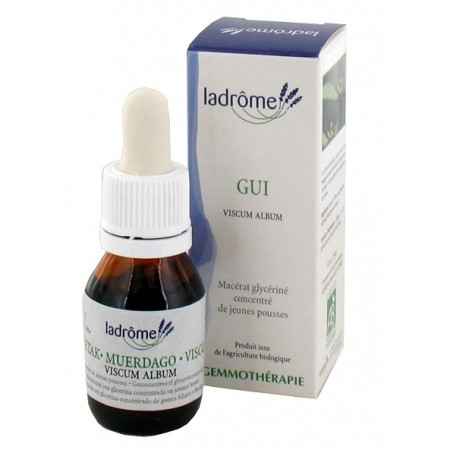 La Drôme Provençale Gemmothérapie Macérât Mère Gui Jeunes Pousses Bio - Pour la Circulation Sanguine