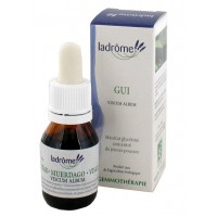 La Drôme Provençale Gemmothérapie Macérât Mère Gui Jeunes Pousses Bio - Pour la Circulation Sanguine