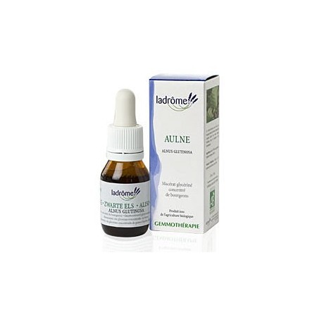 La Drôme Provençale Gemmothérapie Macérât Mère Aulne Bourgeons Bio - Pour la Mémoire et la Concentration