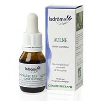 La Drôme Provençale Gemmothérapie Macérât Mère Aulne Bourgeons Bio - Pour la Mémoire et la Concentration