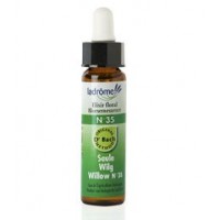 Elixir Floral Saule