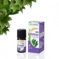 Naturactive Huile Essentielle de Basilic Français Bio