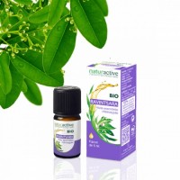 Naturactive Huile Essentielle de Basilic Français Bio