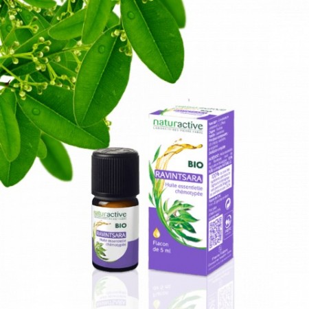 Naturactive Huile Essentielle de Basilic Français Bio