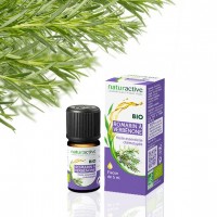 Naturactive Huile Essentielle de Romarin à Verbénone Bio