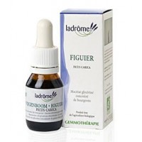 La Drôme Provençale Gemmothérapie Macérât Mère Bourgeons de Figuier Bio - Pour un Meilleur Moral