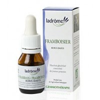 La Drôme Provençale Gemmothérapie Macérât Mère Jeunes Pousses de Framboisier Bio - Equilibre Féminin