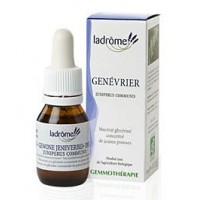La Drôme Provençale Gemmothérapie Macérât Mère Jeunes Pousses de Genévrier Bio - Draineur pour Lutter contre la Fatigue