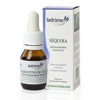 La Drôme Provençale Gemmothérapie Macérât Mère Jeunes Pousses de Séquoia Bio - Tonique pour les Personnes Agées